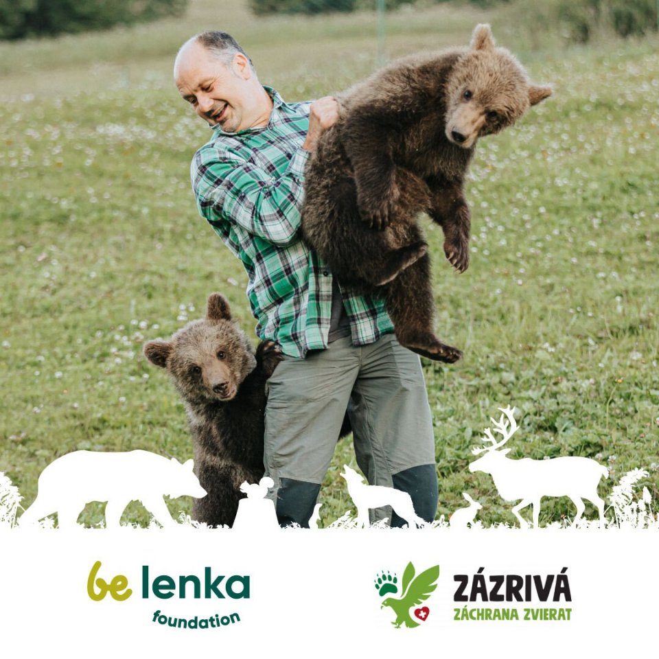 🌲 Nature and the wild are calling for our help. Human activity is causing harm and injury to animals, and it is about time we helped these beautiful creatures get back on their feet. It is our responsibility to care for our planet, and passing it on to future generations is a better condition. 
🤝 Hence, Be Lenka Foundation was established to support also environmental causes, ensuring that the sounds of the wild animals and green forests may not become just a memory. You will learn more about initiatives in the coming days #staytuned. 🍀
#belenka #belenkabarefoot #belenkafoundation #environment #nature #ecological #foundation #