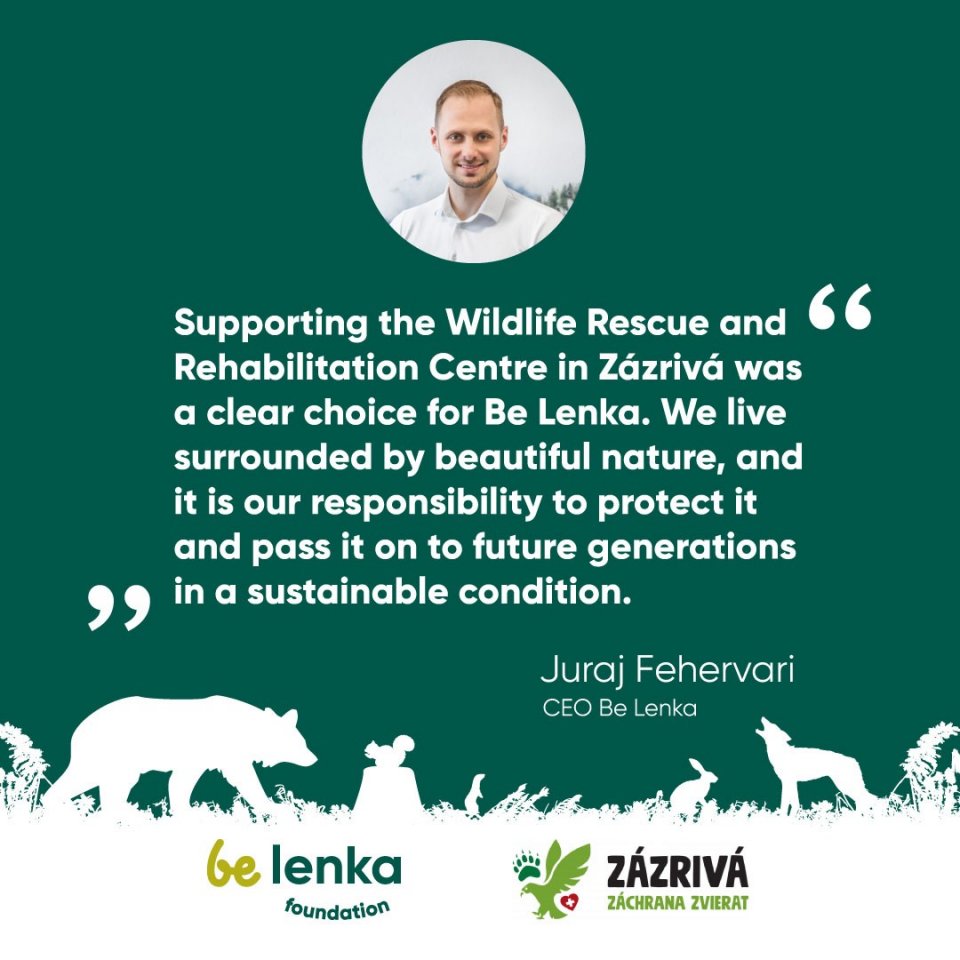 🐻 Help us to build Animal rescue centre in Zázrivá. Let the injured wild birds spread their wings again so they can watch over our forests from the sky. 🦅 
Link in our BIO. 
.
.
.
.
.
.
.
#belenka #belenkabarefoot #belenkafoundation #environment #nature #ecological #foundation #zazriva #malafatra #thisisslovakia #praveslovenske #slovenskehory #praveslovenske