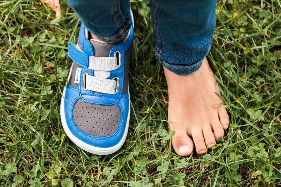 Be Lenka Kids barefoot sneakers - Fluid - Blue & Grey