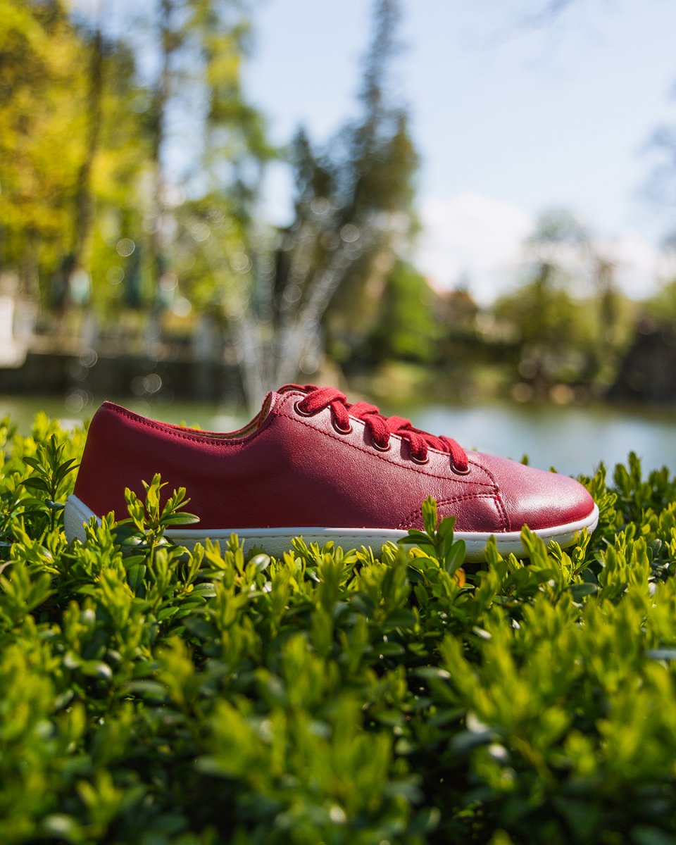 🍂 Want to shine in the autumn?

👉 Be Lenka Prime 2.0 in an eye-catching red design will dazzle you with its simple style and ease of use.

😍 A beloved piece crafted from high-quality leather featuring gently softened ankle edges to enhance your walking comfort.
.
.
.
.
.
#belenkashoes #zerodrop #widetoebox #rightshoeshape #barefootbenefits