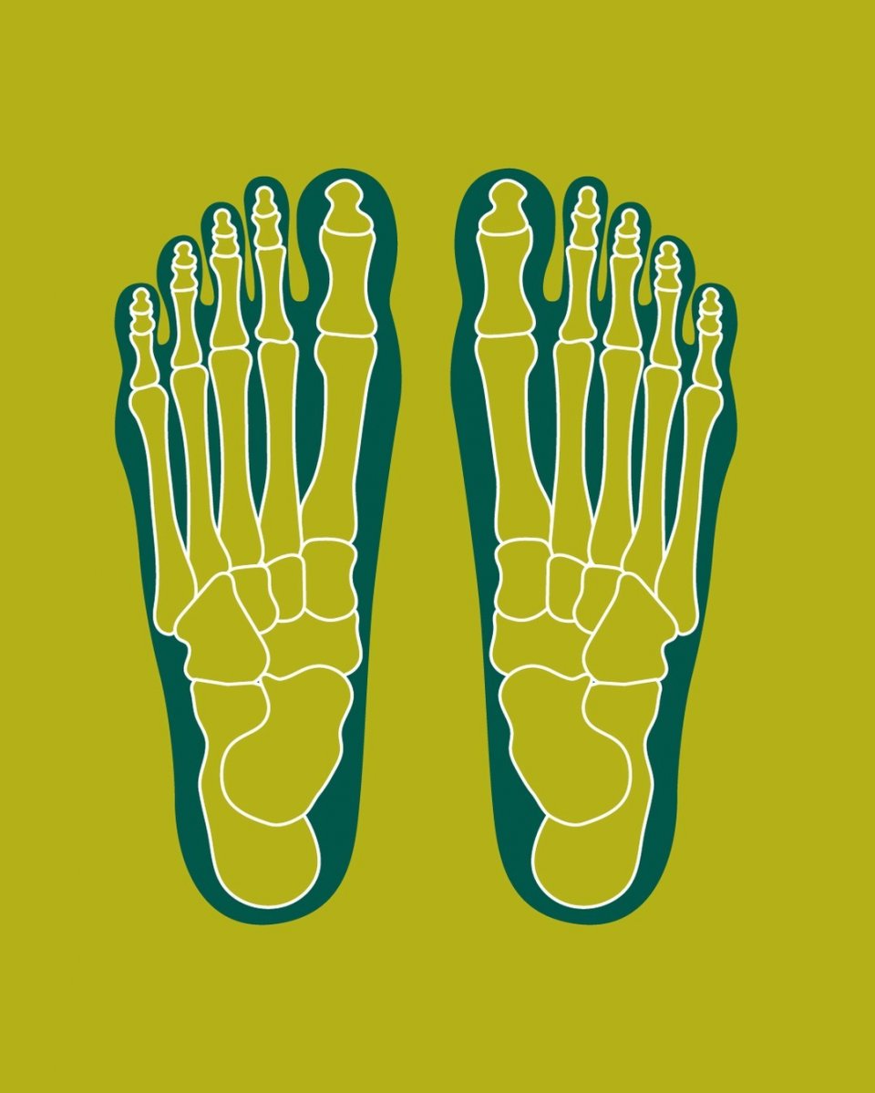 🤔 Did you know...?

🦶 Each foot consists of 26 bones. Together, our feet contain a quarter of all the bones in the human body. 😮

👣 That’s why our feet deserve the best care and shoes that offer plenty of space and all-day comfort.

💬 What's your favorite Be Lenka model for all-day wear?
.
.
.
.
.
.
#livewithbarefootfreedom #barefootbenefits #widetoebox #rightshoeshape #zerodrop #footflexibility #barefootshoes #barefootcomfort #belenka