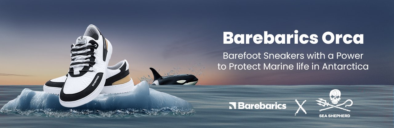 Size 37 | Barefoot Sneakers Barebarics Revive X Sea Shepherd - Orca | Barebarics