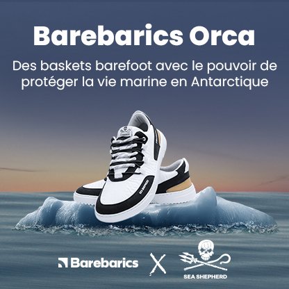Taille 40 | Sneakers Barefoot Barebarics Revive X Sea Shepherd - Orca | Barebarics