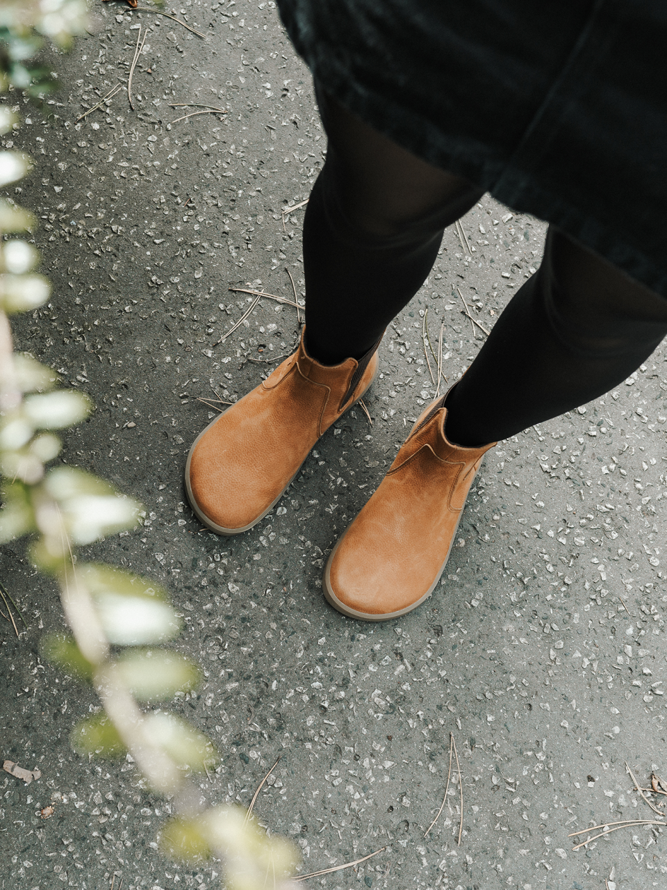 Barefoot chaussures Be Lenka Entice Neo - Cinnamon Brown